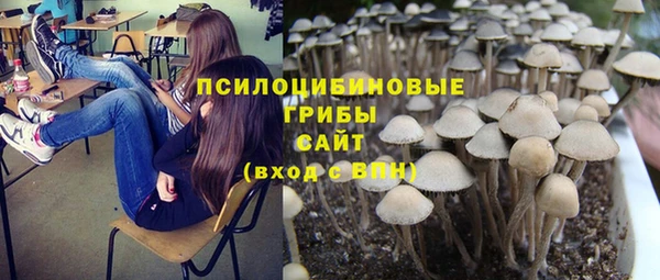 ГАЛЛЮЦИНОГЕННЫЕ ГРИБЫ Аркадак