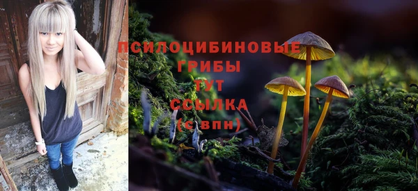 ГАЛЛЮЦИНОГЕННЫЕ ГРИБЫ Аркадак