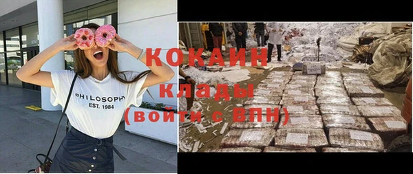 ГАЛЛЮЦИНОГЕННЫЕ ГРИБЫ Аркадак