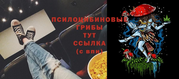 гидра Армянск